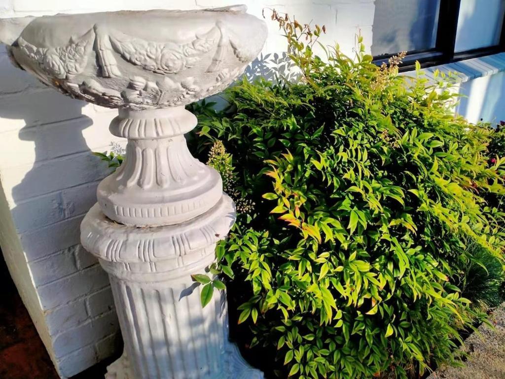 Villa Quiet Burrow In Mornington Center Exterior foto